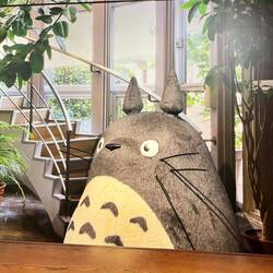 Totoro