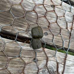 Quadratischer Wombat Kot... siehe Wikipedia😀