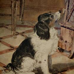 Брат тоже собачками баловался