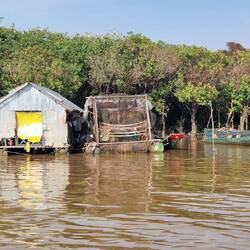 In der Regenzeit ragen nur die oberen Blätter der Mangroven aus dem Wasser heraus.