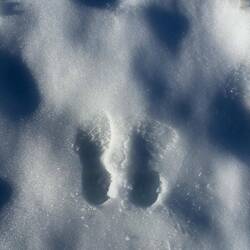 Juttas persönlicher Footprint im Gletschereis 👣
