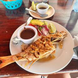 mein Fisch - Beilagen wie immer etwas mager