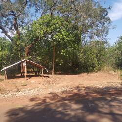 Hier koche ich mein Mittag - Es ist eine Bushaltestelle, wie sich herausstellt