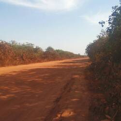 Hier ist die Straße echt katastrophal