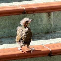 Hallo du kleiner Zausel 🤩