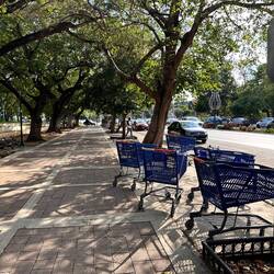 Walmart-Wägelchen - haben kein Depot