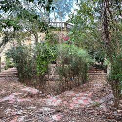 an bester Lage ein verwildertes Grundstück