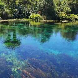 Te Waikoropupū Springs