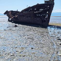 Janie Seddon Shipwreck