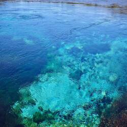Te Waikoropupū Springs
