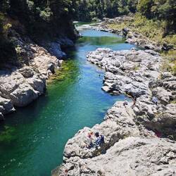 Pelorus Bridge Scenic Reserve