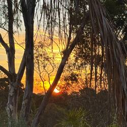 Sunset von Doi's Haus aus