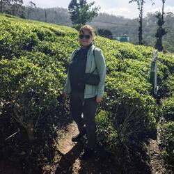 Tea and me