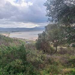 Blick am Morgen auf Bucht und Lagunen