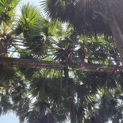 Arbeitsweg hoch oben