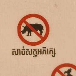 Das mitführen von Nashörnern ist verboten 😂😂🦏🦏