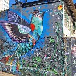 There were quiet a few humming bird murals.