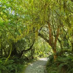 Start am Routeburn Track