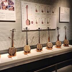 Collection of shamisen, a traditional three-stringed Japanese musical instrument