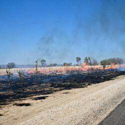 unser erster Buschbrand direkt an der Straße