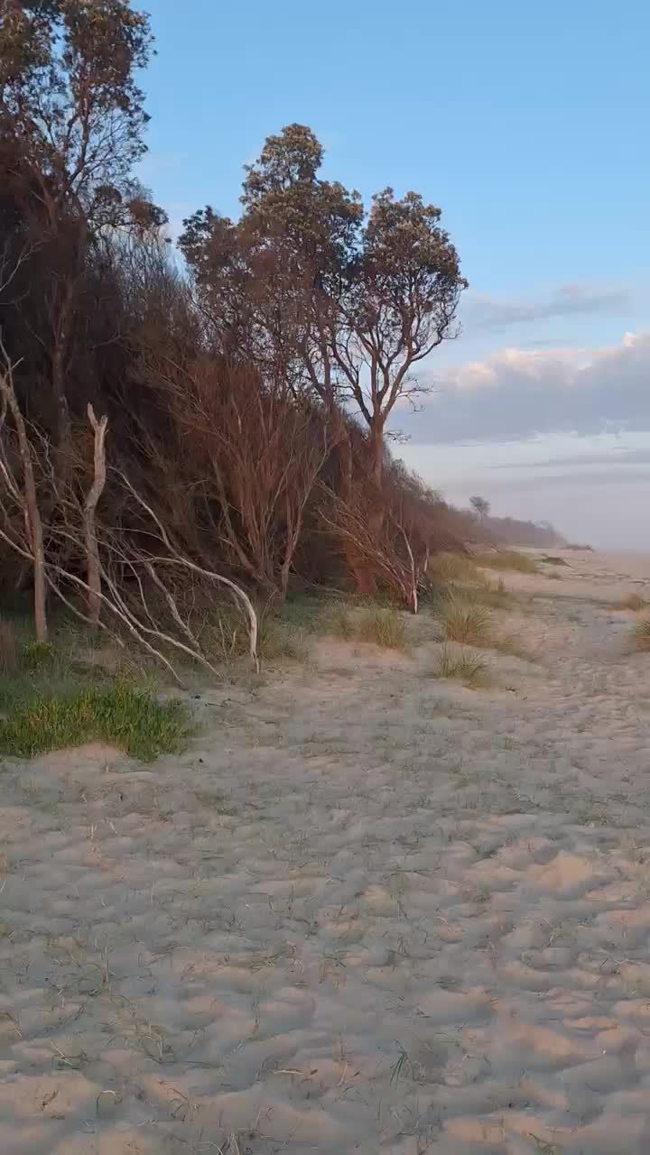 Abendstimmung an der Beach
