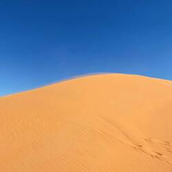 Diese Düne habe ich nicht bewältigt