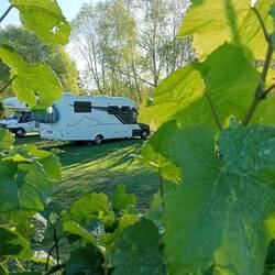 Hiding in the vines at Torlesse Winery
