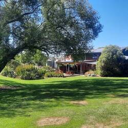 Torlesse winery