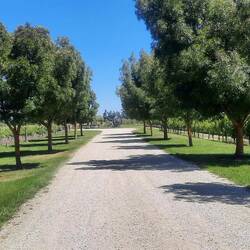 Another waipara winery.