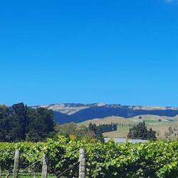 Views from our biking wine trail.