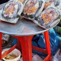 Schildkröte ohne Panzer