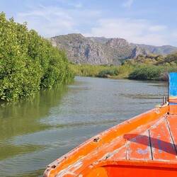 Bootsfahrt durch die Mangroven