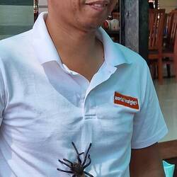 Unser Guide traut sich was...