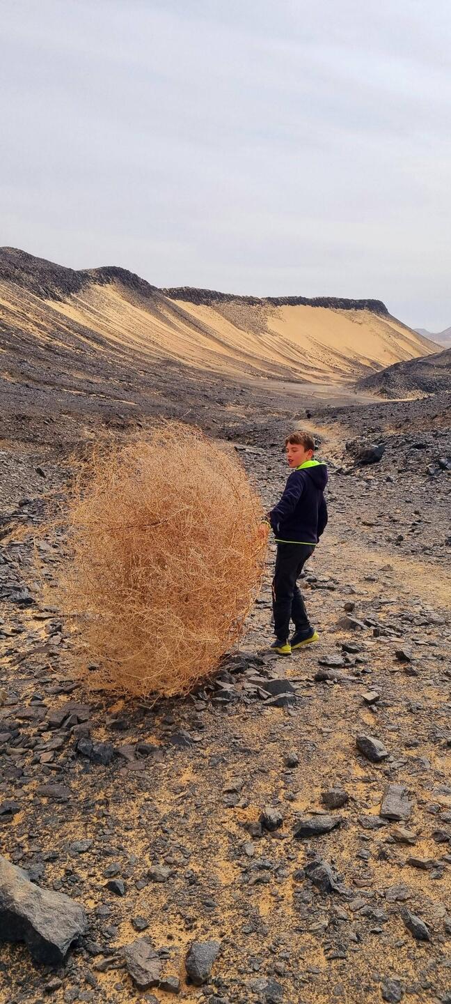 Désert Noir, roche de basalte, résultat d'une ancienne activité volcanique