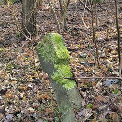 Grenzstein in der Heide