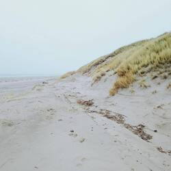 Dünen