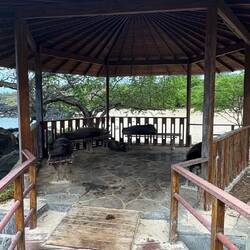 Galápagos-Seelöwen/bären