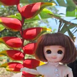 Maya, fleur parmi les fleurs...