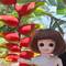 Maya, fleur parmi les fleurs...