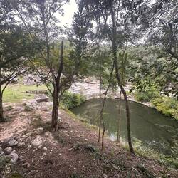 die heilige Cenote, da war ein Alter für Opferungen beim 2. Baum