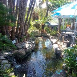 Bar crawl around beautiful Wilderness, the next town to Sedgefield