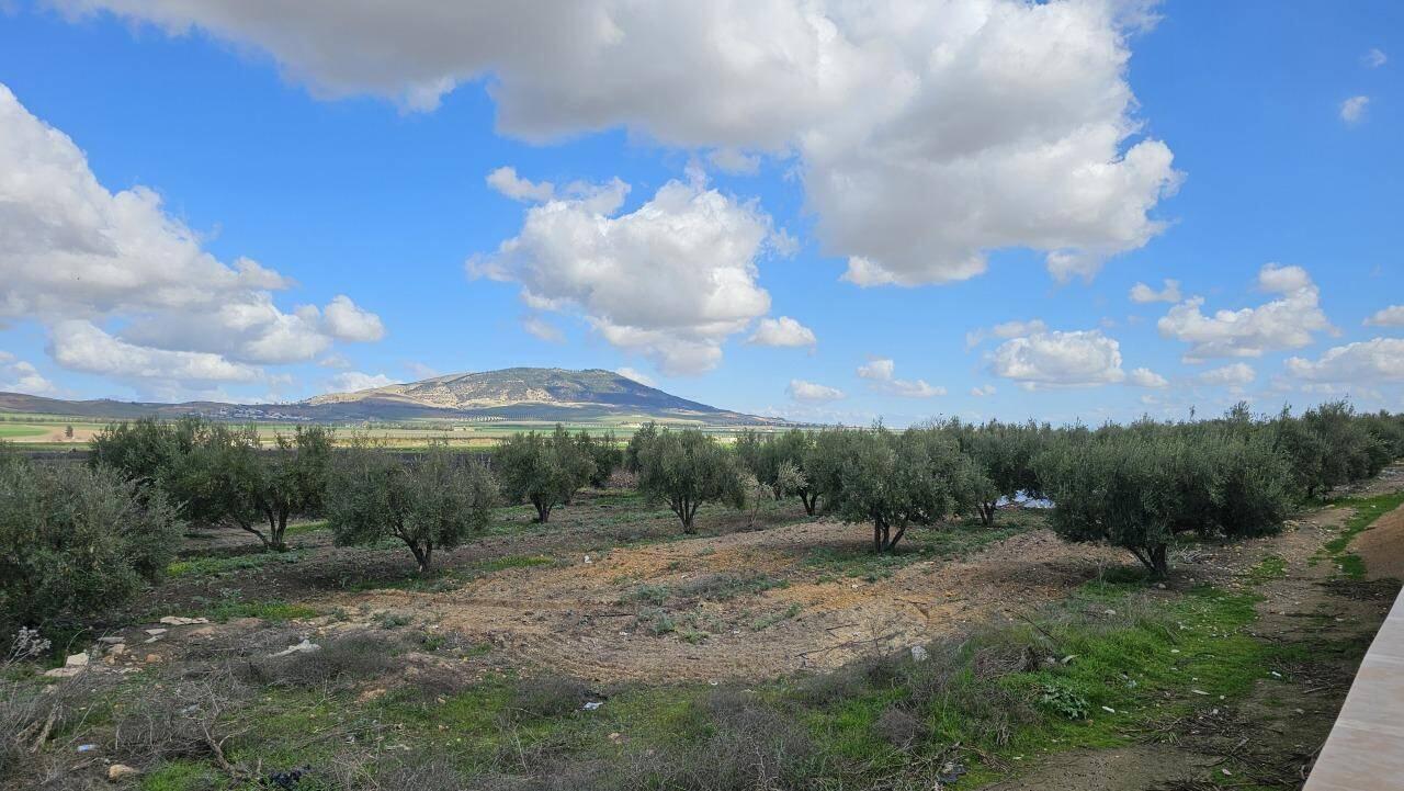 der Weg von Fes nach Volobilis