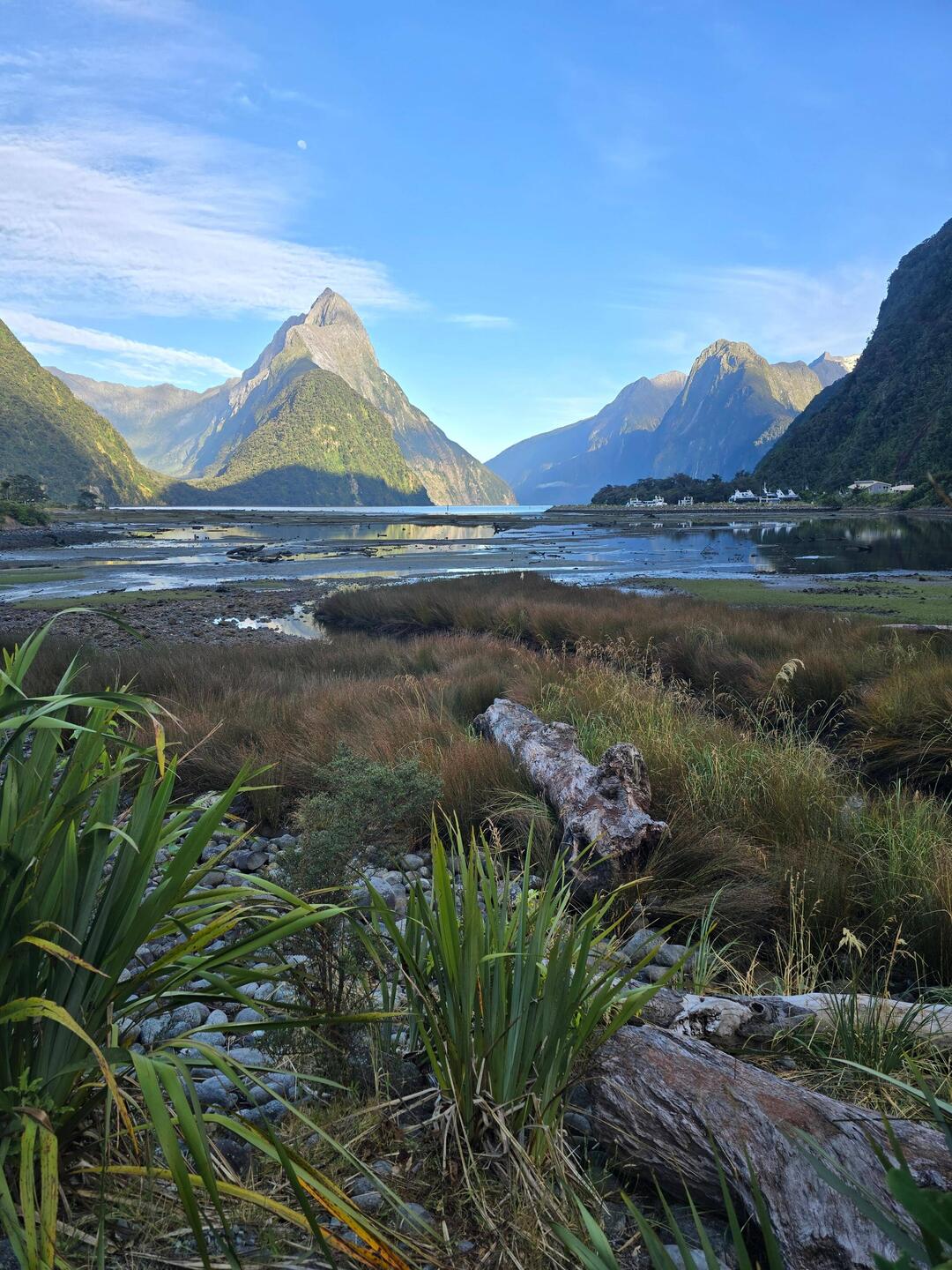 Blick auf den Rahotu (Mitre Peak)