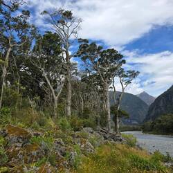 "it's not an official way"