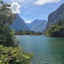 Sandfly Point am Milford Track