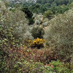 Winter? Hier blüht es immer👍🤭