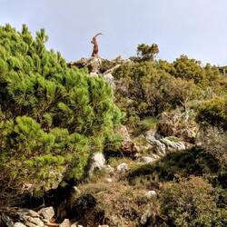 Wir werden beobachtet🫢🤣