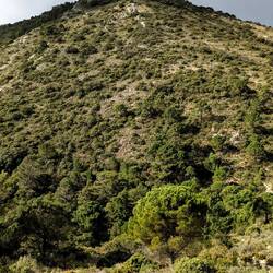 Höher geht es nicht😯