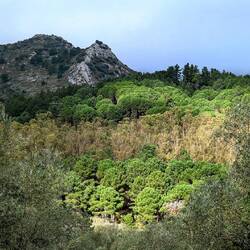 So weit die Füße tragen🥴