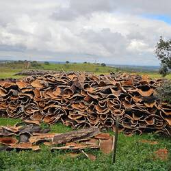 Wir haben uns gewundert ,dass noch Teile der Ernte draußen liegen